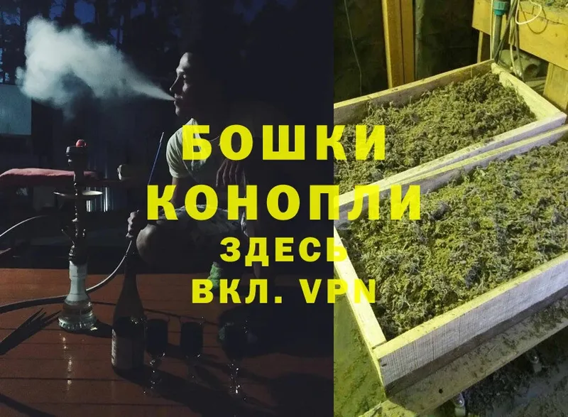 гидра сайт  даркнет состав  Бошки марихуана THC 21%  закладка  Солигалич 